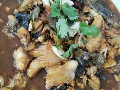 -丽泽山庄·生态怀柔菜·虹鳟鱼(红螺寺店)