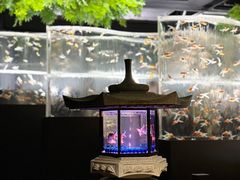 -三越百货(三越银座店)