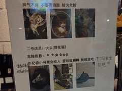 -逃脱反斗城沉浸剧情密室(北京路店)