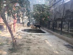 -石家庄市动物园