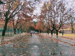 -九龙餐厅(大沽路店)