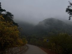 -北京西山国家森林公园