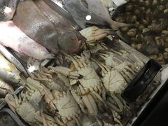 -吕四渔港码头海鲜餐厅