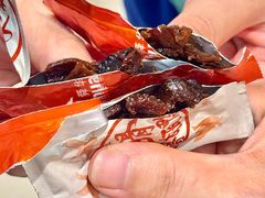 -郴州特产舜华临武鸭(郴州西站店)