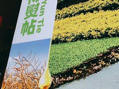 -望湘园·湖南菜(宏伊店)