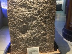 -大连自然博物馆·地球展厅