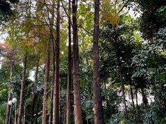 -晓港公园
