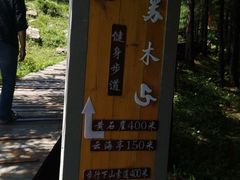 -苏木山森林公园