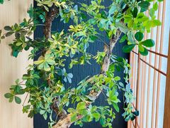 -文三酒肆自助放题(新街口友谊广场店)