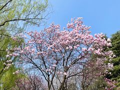 -白塘生态植物园
