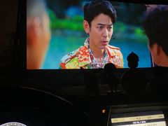 -枫花园汽车电影院(朝阳公园店)