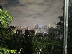 -苏顺成纯绿豆饼(中华南大街店)
