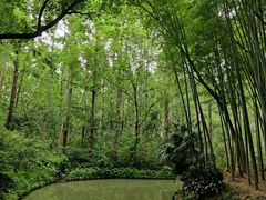 -同里国家湿地公园