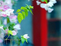 -广州市紫泥堂文化创意园景区