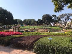 -天河儿童公园