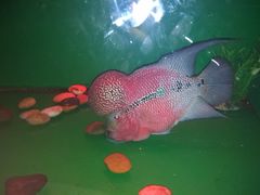 -青岛海底世界-水族馆