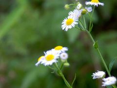 -浮山风景名胜区