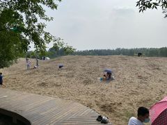 -东郊湿地公园