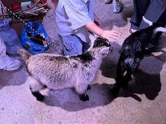 -正佳雨林生态植物园