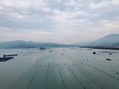 -北岐滩涂