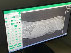 -荔康动物医院(康王北路店)