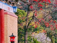 -广州中山纪念堂