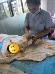 点击看大图 -贰拾捌月子会所·古月(开福店)