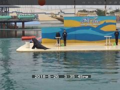 -秦皇岛乐岛海洋王国