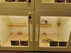 -龙猫仔乐园(惠福东路店)