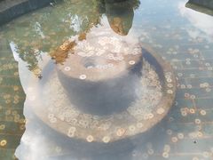 -墨江北回归线标志园