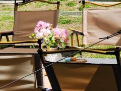 景点-上海共青森林公园