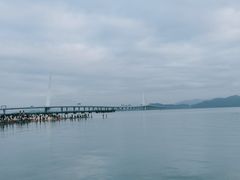 -深圳湾公园(南山区)