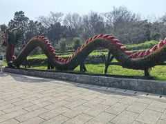 -巢湖姥山岛