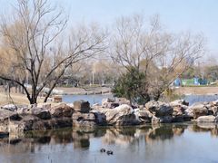 -东南大学(九龙湖校区)