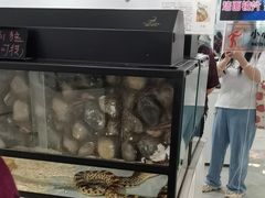 -上海昆虫博物馆