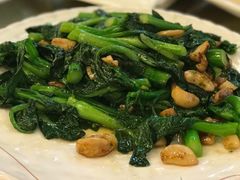 炒菜心-朱仔记食府(江南大道店)