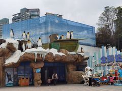 -海合安成都极地海洋公园