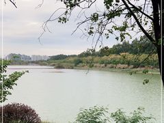 -广东花都湖国家湿地公园