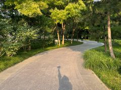 -北坞公园