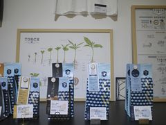 -Torch Coffee 炬点咖啡