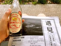 -武汉知音号
