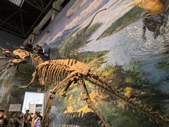 -自贡恐龙博物馆