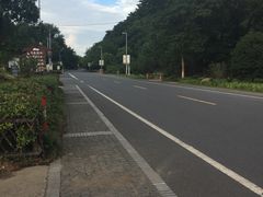 -鑫福楼农家菜
