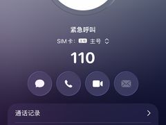 -上海璞麗酒店