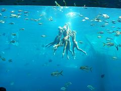 -瑞德姆美人鱼海底演艺主题餐厅(亚龙湾店)