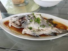 -七鲜渔港美食餐厅(巽寮湾海景店)