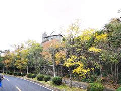 -江南天池