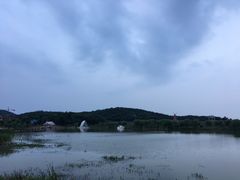 -大塘金香草谷