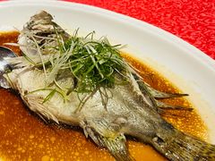 清蒸桂花鱼-侨美·唐荔园·40年地道粤菜