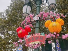 -上海迪士尼度假区